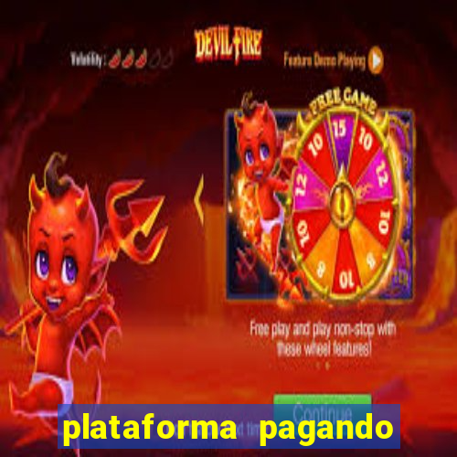 plataforma pagando no cadastro tigre